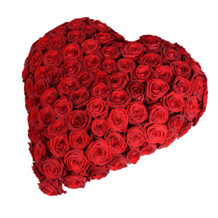 Ett hjärta format av många röda rosor.