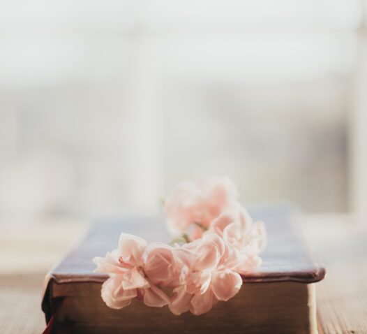 En gammal bok ligger stängd med rosa blommor ovanpå, med suddig bakgrund.